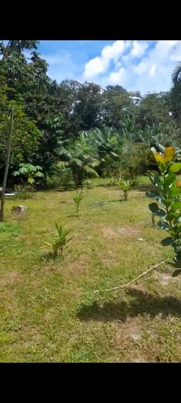 Casa e terreno  - Foto 4