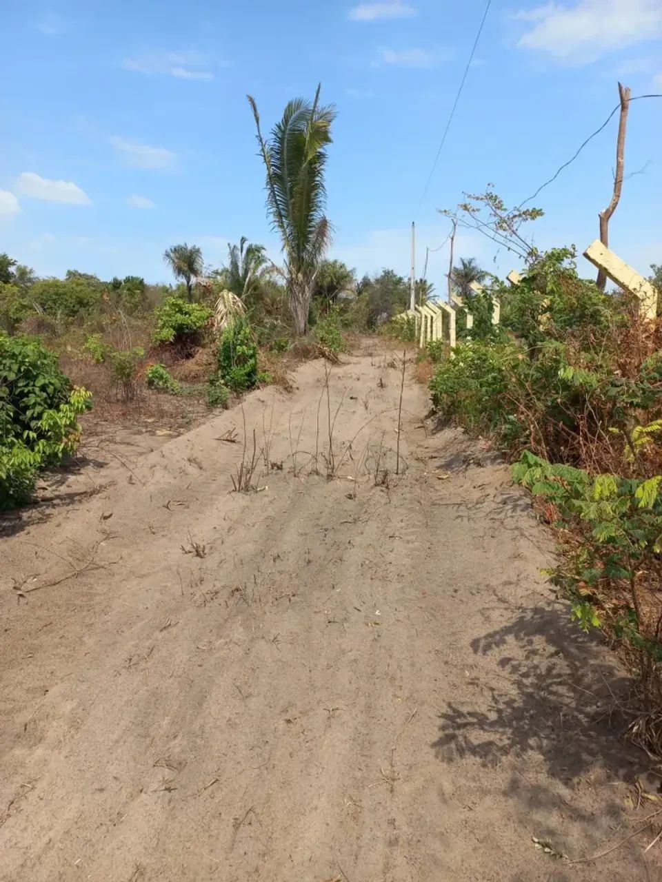 PANAQUATIRA: Terreno a prazo de 52 mil m2 a venda  Ilha de São Luis-MA - Foto 12