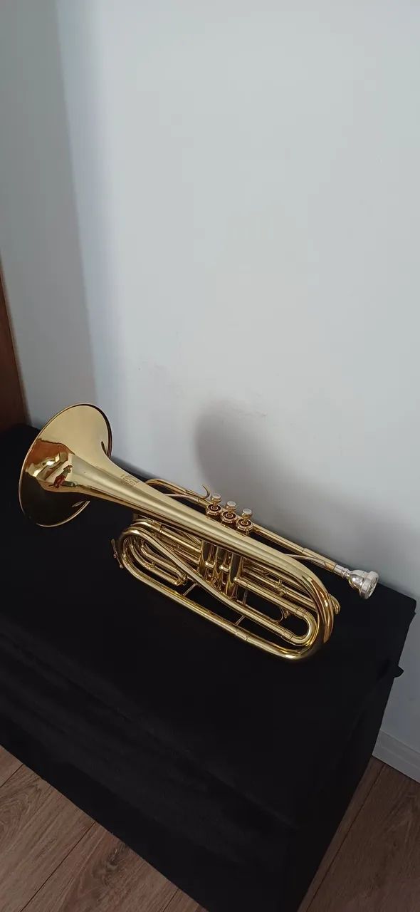VENDO TROMBONITO  - Foto 2
