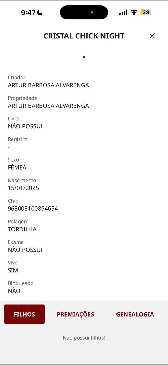 Potra mangalarga - Foto 5