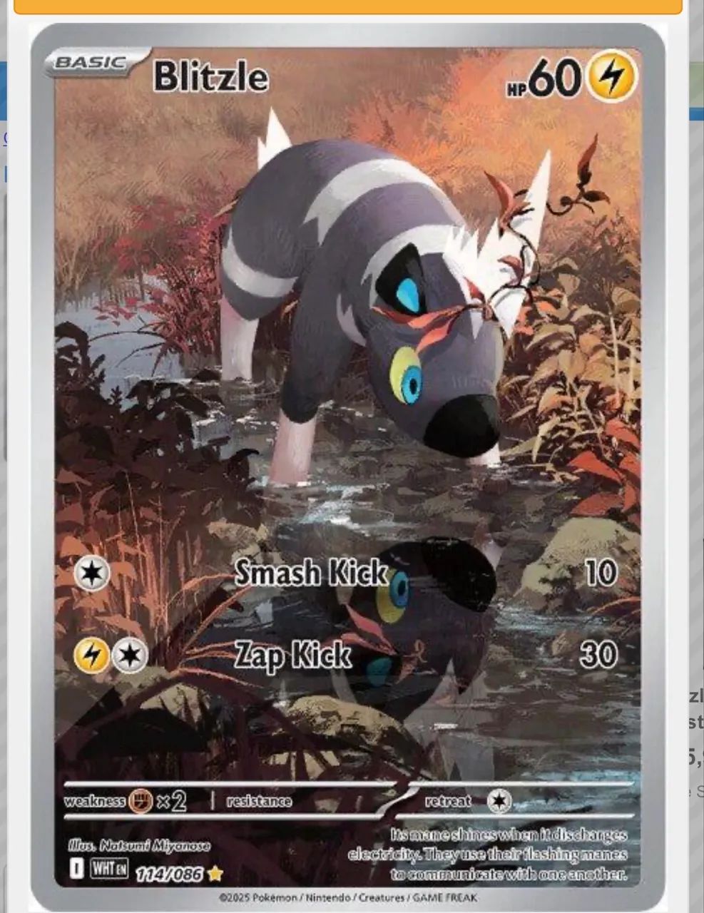 Blitzle 114 Wht Pokémon Tcg inglês 