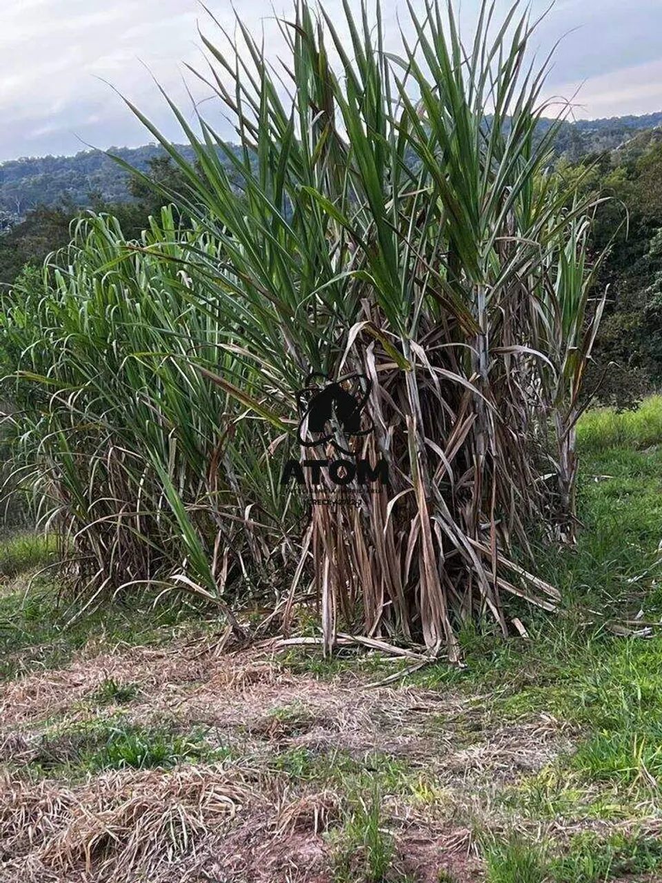 Chácara dos Sonhos em Redenção da Serra - Foto 3