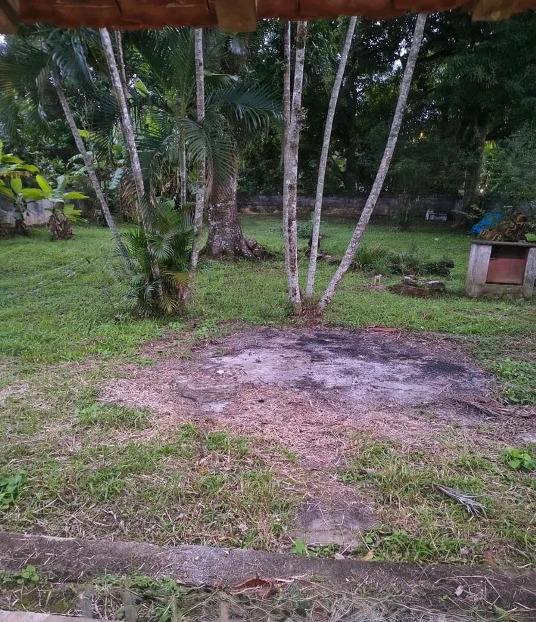 Aluguel de Sítio em Santa Candida/Itaguaí.  - Foto 2