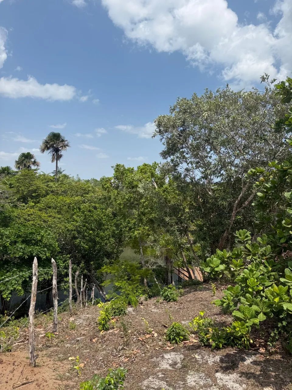 Terreno a beira do rio , povoado andiroba . - Foto 4