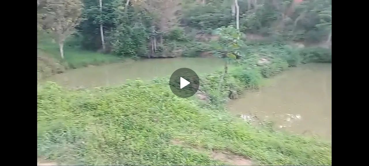 Sitio com duas tarefas e meia com uma pequena casa - Foto 3