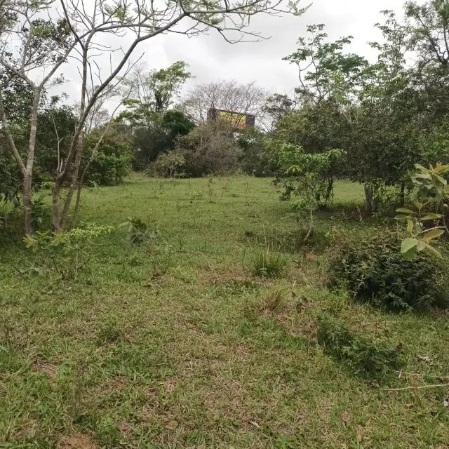 Terrenos - Foto 4