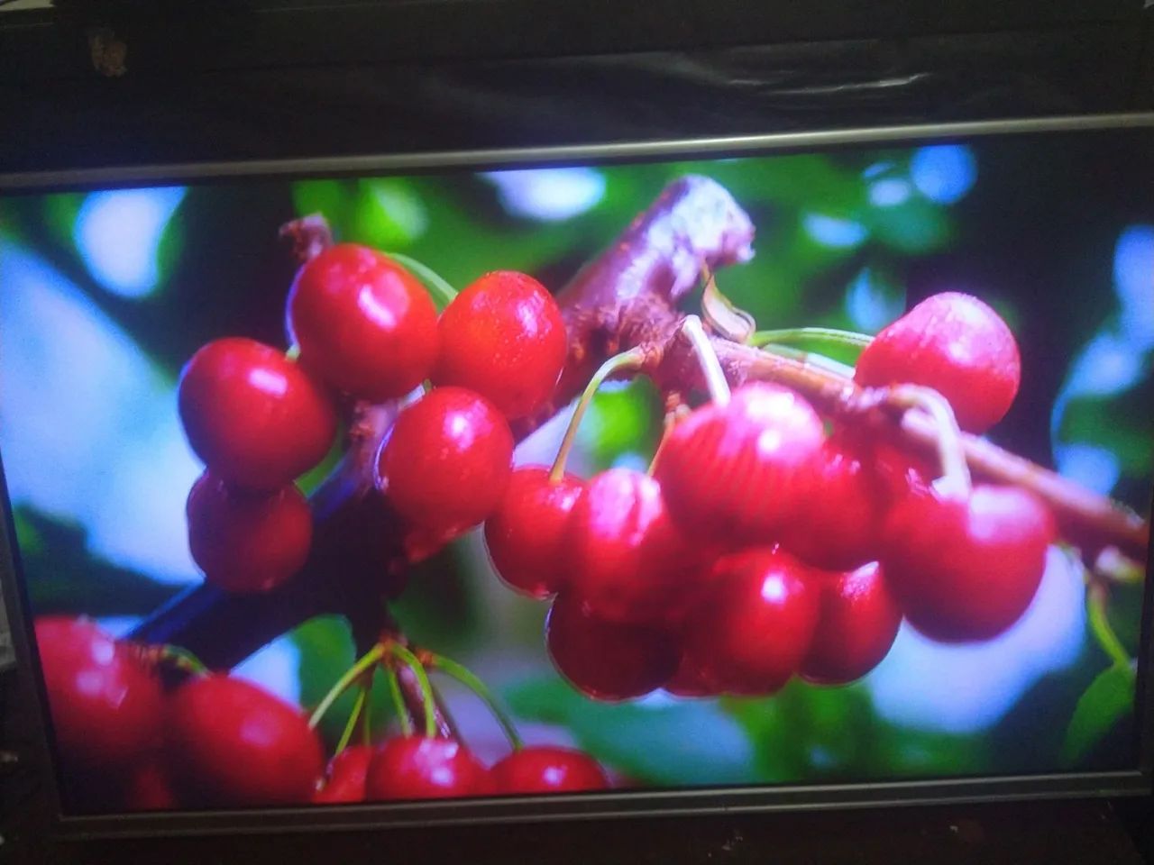 Tv Smart Toshiba 43 polegadas! YouTube e Netflix ativos! - Foto 3