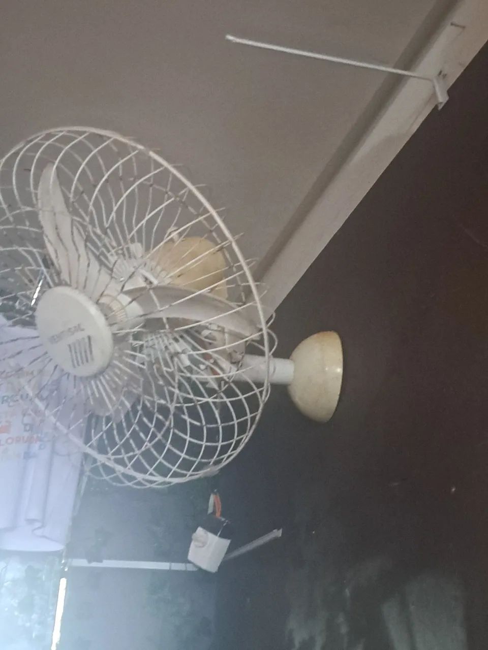 Bárbara imperdível  - Foto 4