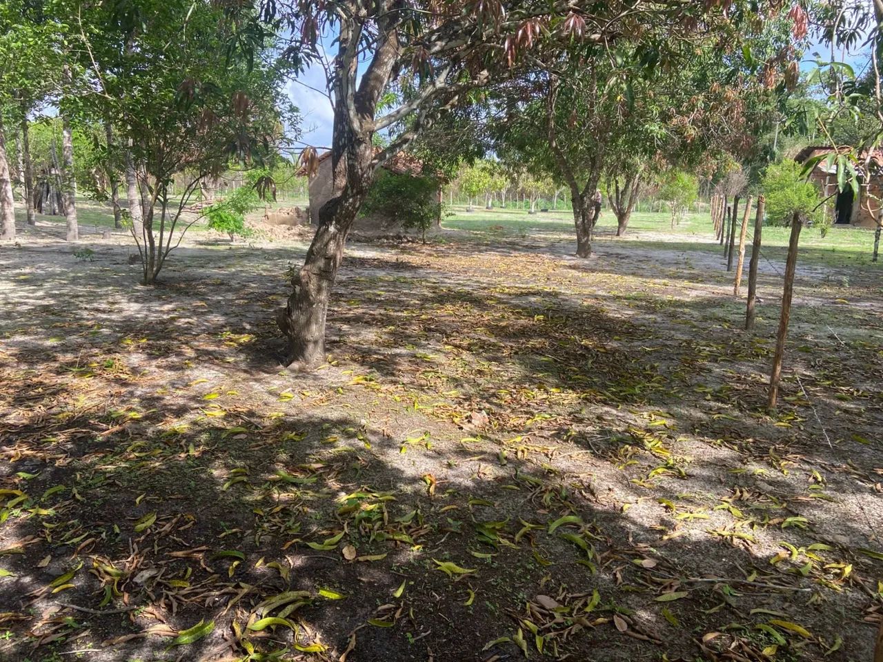 TERRENO 40X52 - Foto 5