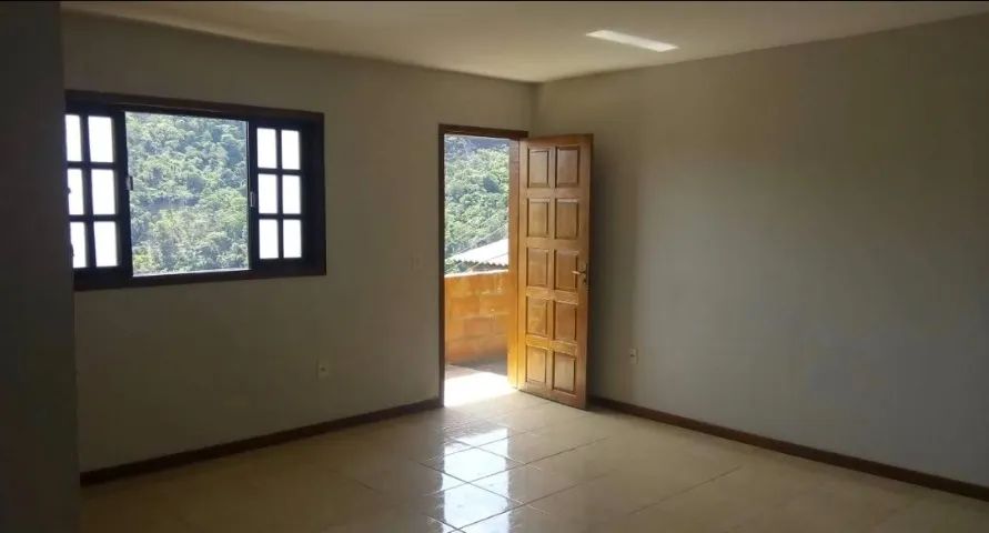 Foto - Petrópolis - Samambaia