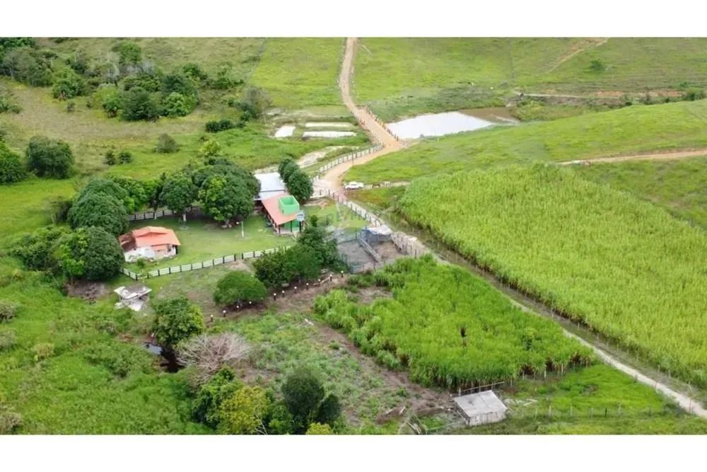 FAZENDA PRIMAVERA A VENDA ITAMARAJU BA