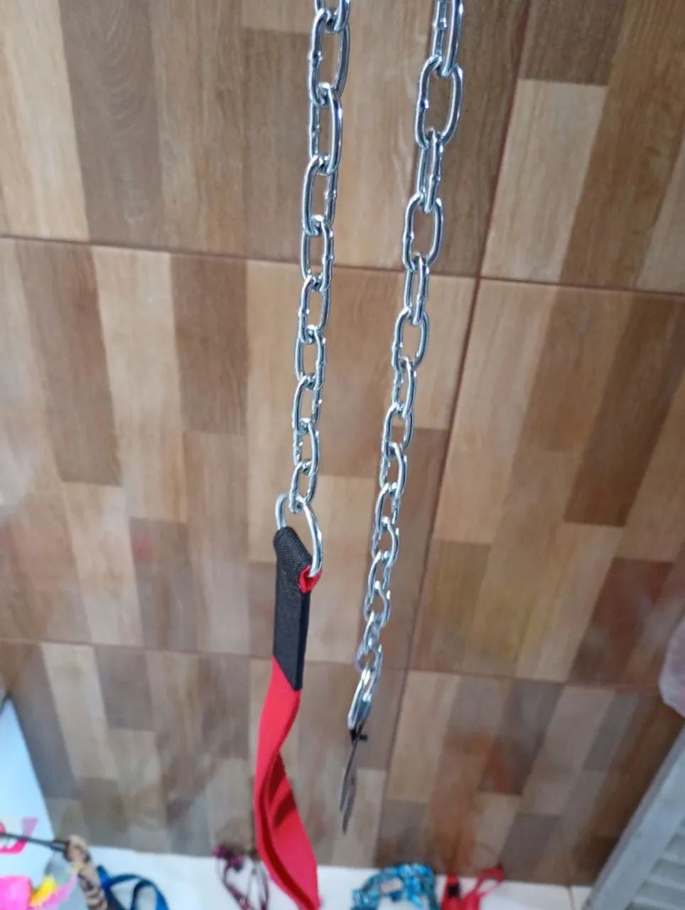 Acessórios para pets ?