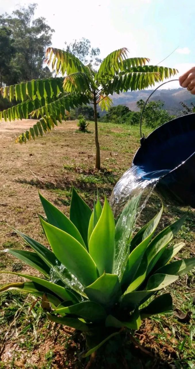 Celular Sansung A02s