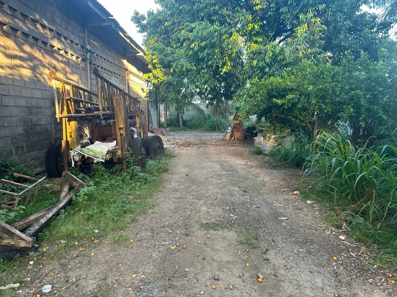 Galpão em Tejipio, 360 m2 + bom Terreno - Foto 2