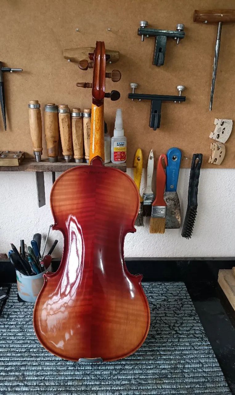 Violino nhureson  - Foto 2