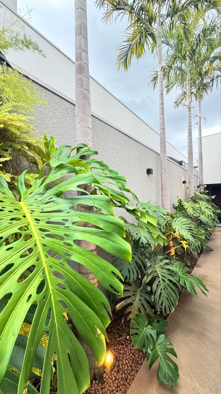 Casa em Condomínio  - Foto 2