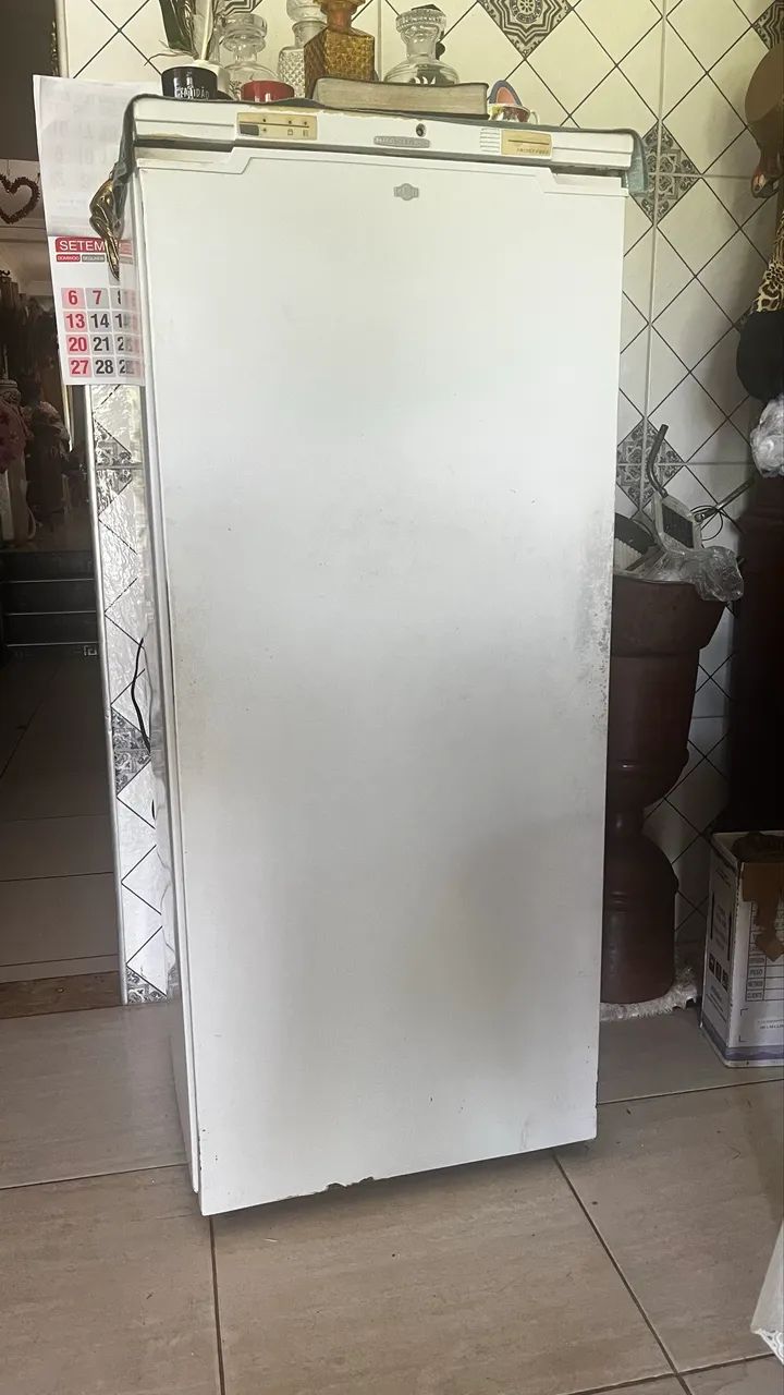 FREEZER VERTICAL BRD37A 260 LITROS  - Foto 2