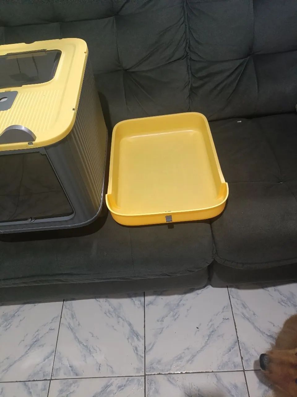 Caixa de areia para gatos 65203907099779121