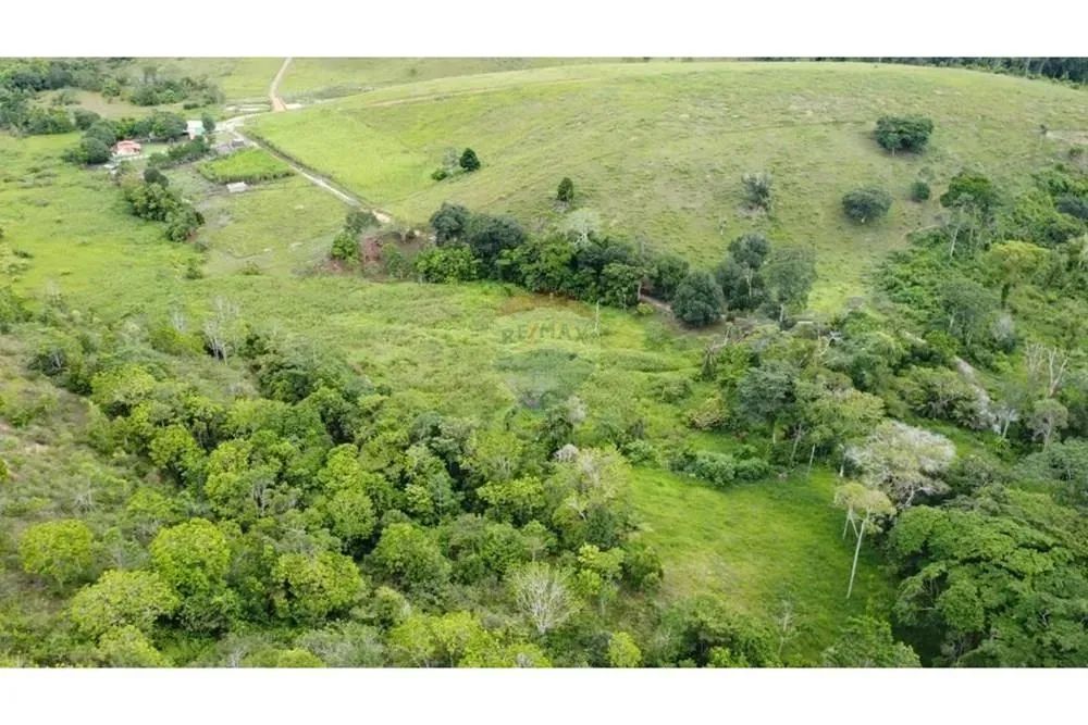 FAZENDA PRIMAVERA A VENDA ITAMARAJU BA - Foto 11