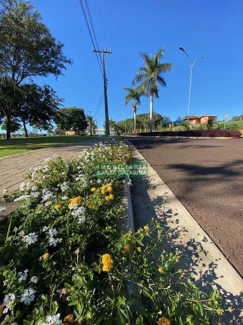 Terreno à venda em Maringá, Alphaville, com 503 m², ALPHAVILLE MARINGÁ - Foto 5