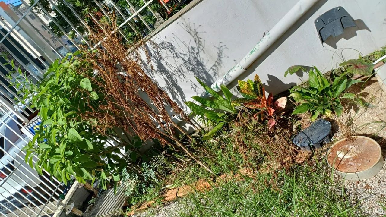 Precisando dar um trato no terreno ou no jardim? ? - Foto 3