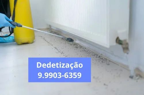 Dedetização