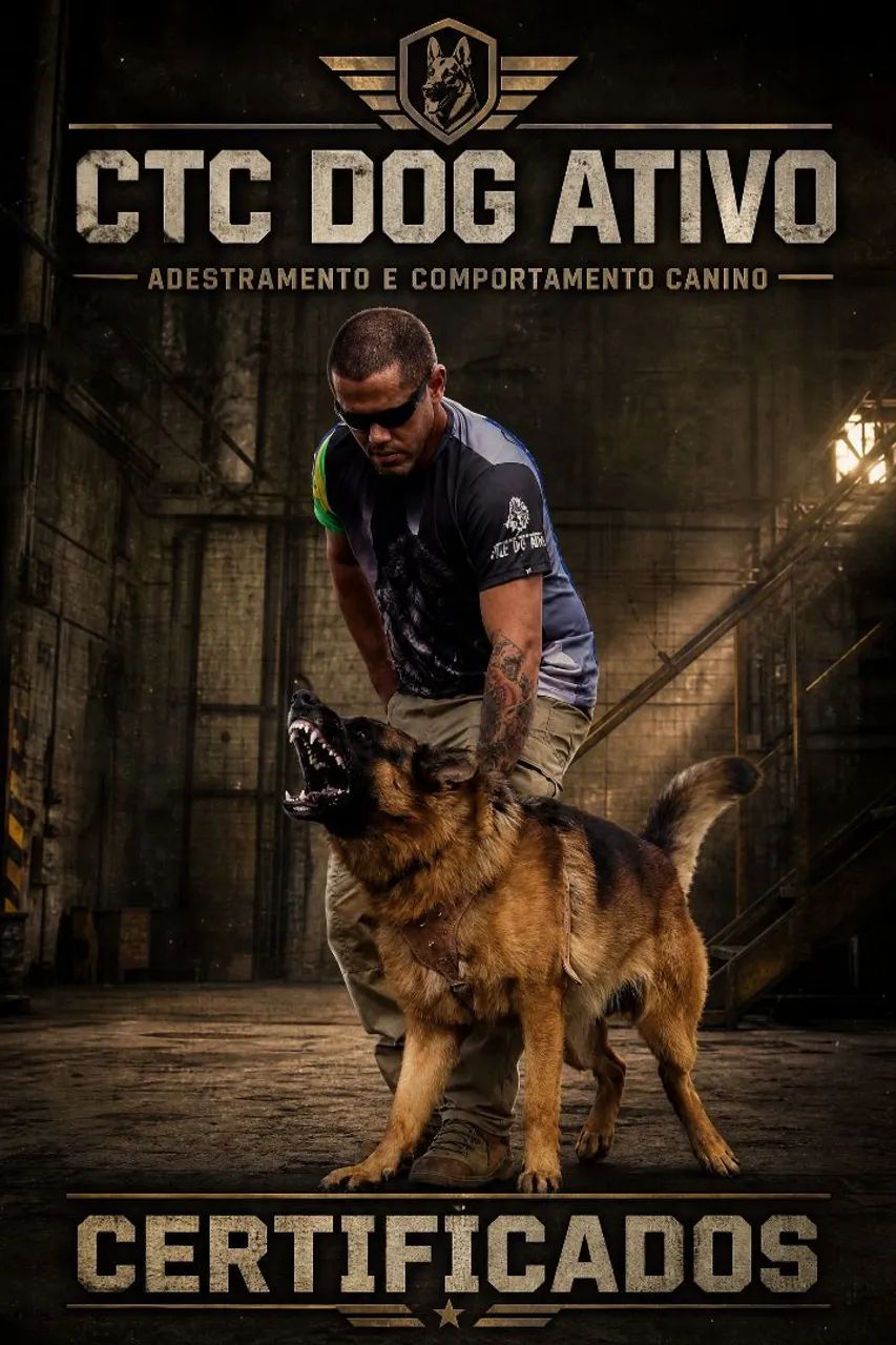 Adestramento de Cães  - Foto 4