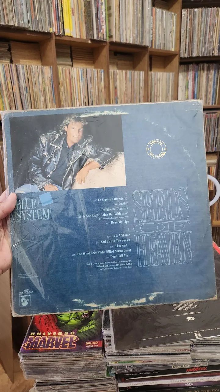 DISCOS VINIL.LP POP ROCK THE FARM, BLUE SYSTEM, WATERBOYS... - Foto 2