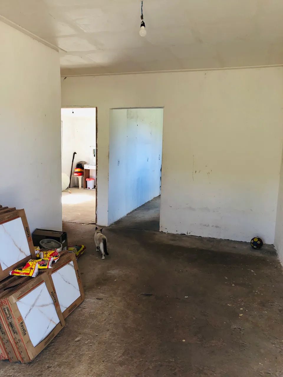 Mini chácara com meia tarefa - Foto 4