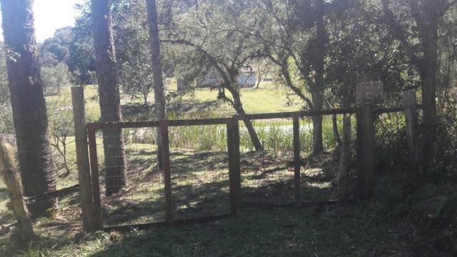 Area para Chacara em Quatro Barras 10 alqueires