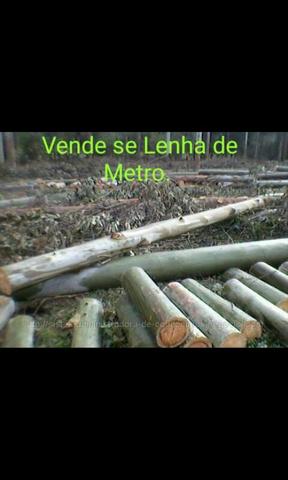 Eucalipto em lenha de metro em Viamão