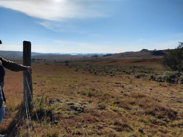Área de terras com 22,24 hectares própria para cultura - Foto 3