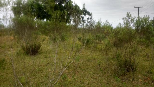 Ref. 1116 - Imperdível chácara de 22.385 m² no Poço Grande - Foto 11