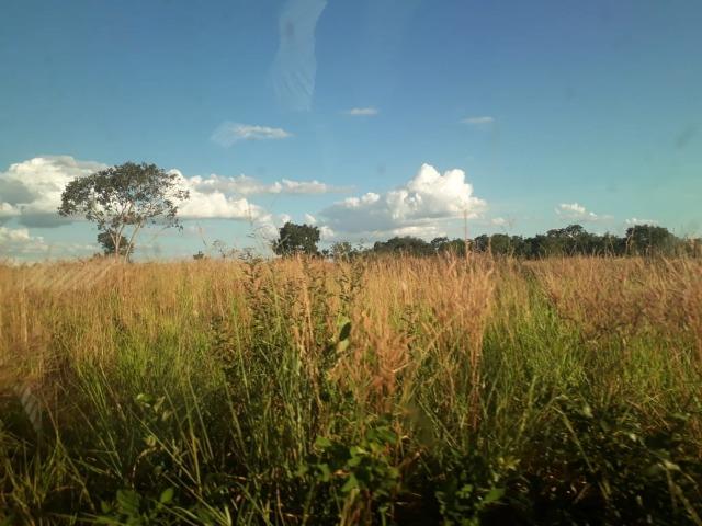 Fazenda 333 hectares para Pecuária em Livramento - Foto 11