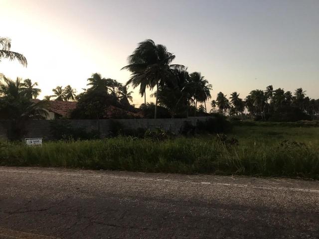 Terreno no bairro Mosqueiro, próx. À Salao de festas Villa Ricca - Foto 8