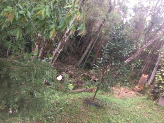 REF ? 2404 - Chácara com 2,400 m² localizada no capinzal com 3 nascente - Foto 14