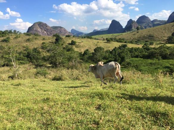 Fazenda - Centro Guaratinga - Foto 6