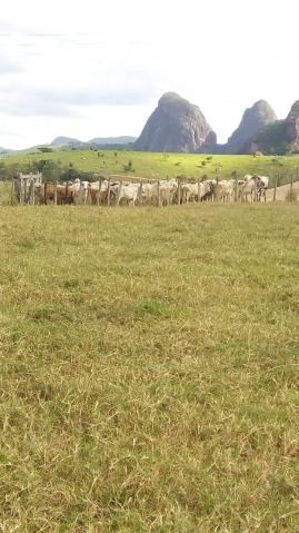 Fazenda - Centro Guaratinga - Foto 9