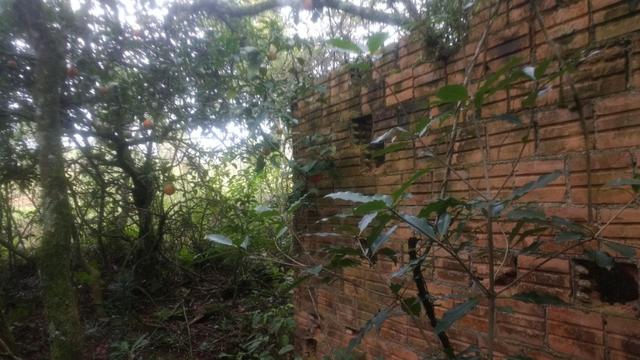 Ref. 1116 - Imperdível chácara de 22.385 m² no Poço Grande