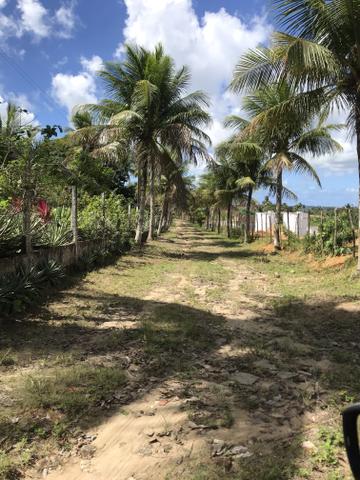 Granja, sítio, fazenda em Igarassu, 4 hectares com bastante benfeitorias! - Foto 19