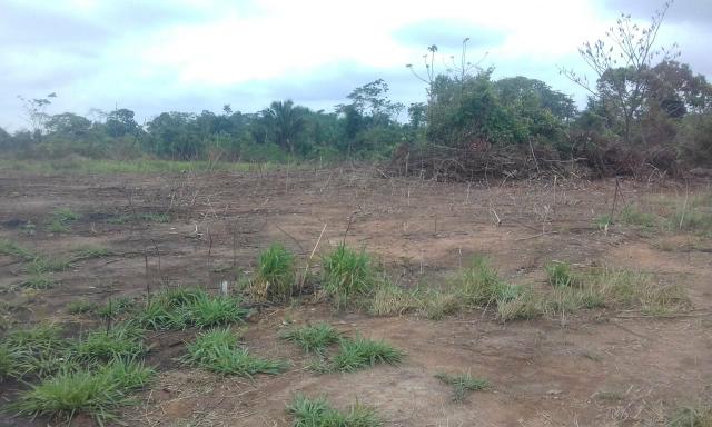 Terreno
