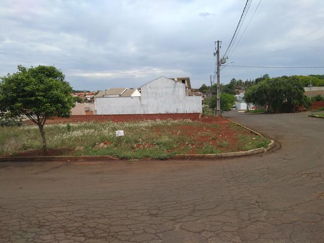 Terreno esquina 273 metros quitado Jardim América - Foto 5