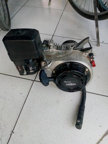 Motor estacionário