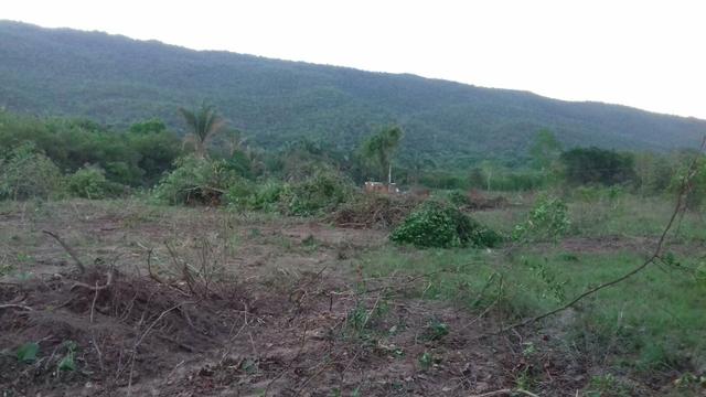 Culturao terra Preta agua por gravidade - Foto 7