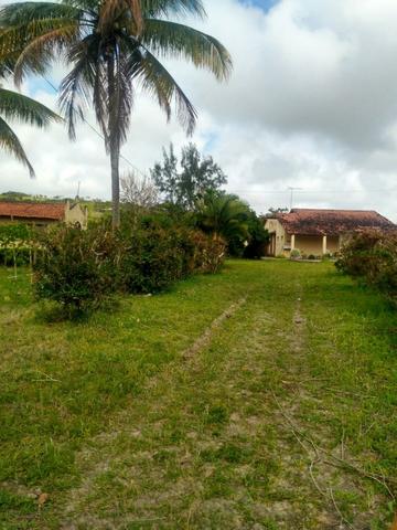 Propriedade em Chã Grande, a 3 km da Cidade - Foto 2