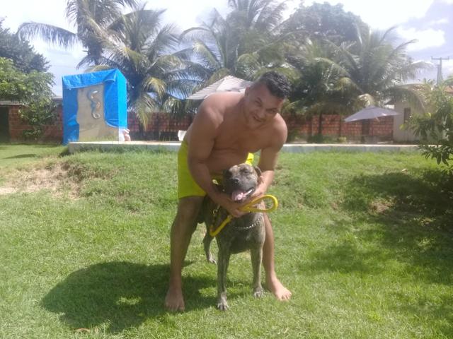 DOGO CANÁRIO para procriação