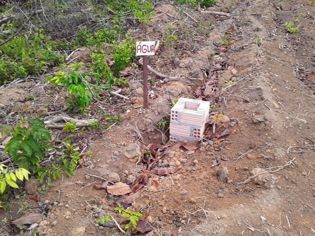 Vendo uma cachará verdi toda bosquêada - Foto 8