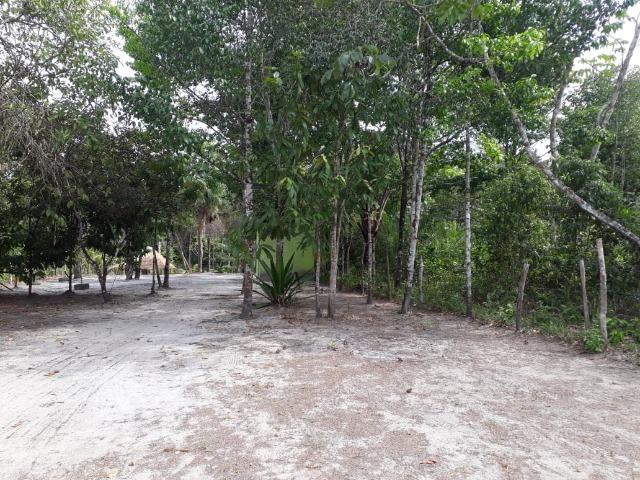 Terreno com Igarapé - Ramal do 30 Curuçá - Foto 14