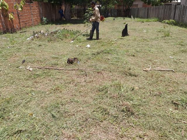 Terreno - Foto 7