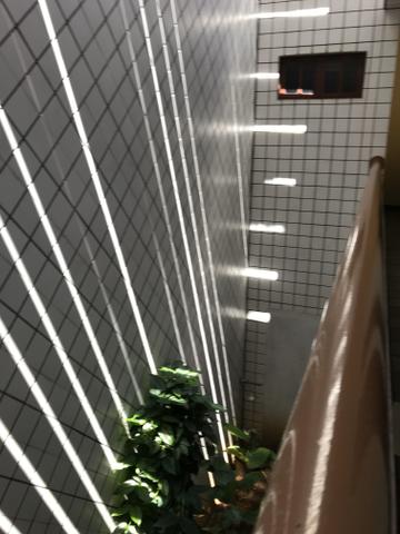 Vendo ótima casa no Centro do Juazeiro do Norte - Foto 4